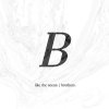 Brothers - Album Like the Ocean