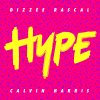 Dizzee Rascal & Calvin Harris - Album Hype