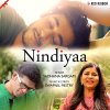 Sadhana Sargam - Album Nindiyaa