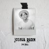 Joshua Radin - Album The Fall
