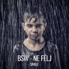 Bsw - Album Ne Félj