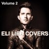 Eli Lieb - Album Eli Lieb Covers, Vol. 2