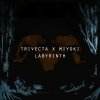 Trivecta feat. Miyoki - Album Labyrinth