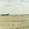 Throws - Album The Harbour