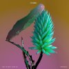 Flume feat. Tove Lo - Album Say It (Remixes)