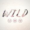 WILD - Album Back to You