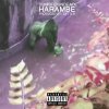 Dumbfoundead - Album Harambe