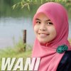 Wani - Album Single (Wani)
