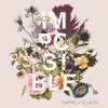 Gabriela Villalba - Album Imposible