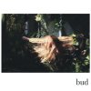 Fenne Lily - Album Bud