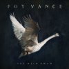 Foy Vance - Album The Wild Swan