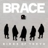 Birds of Tokyo - Album BRACE