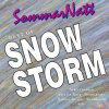 Snowstorm - Album Best Of