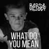 Bars and Melody - Album What Do You Mean?