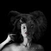 Lila Rose - Album We.Animals