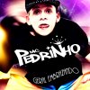 Mc Pedrinho - Album Geral Embrazando