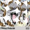 Hiatus Kaiyote - Album Live in Revolt EP