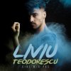 Liviu Teodorescu - Album Cine m-a pus