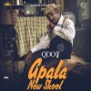 Apala New Skool by Q-dot – cover art