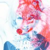 ZAQ - Album 割レル慟哭