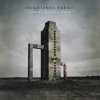 Frightened Rabbit - Album Painting of a Panic Attack