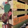 DSF - Album Madness of Cactus
