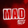 Bugzy Malone - Album Mad
