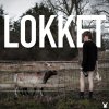 De Danske Hyrder - Album Lokket