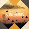 Ben Cocks - Album Song Birds