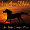 Ludmilla - Album Ich fühl wie du