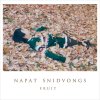 Napat Snidvongs - Album Fruit EP