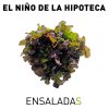 El Niño de la Hipoteca - Album Ensaladas