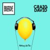 Blonde & Craig David - Album Nothing Like This