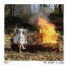 PUP - Album The Dream Is Over