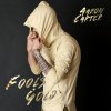Aaron Carter - Album Fool's Gold