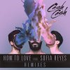 Cash Cash feat. Sofia Reyes - Album How To Love [Remixes]