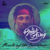 Chris Martin - Album Pirate of the Caribbean