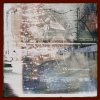 TK from 凛として時雨 - Album Signal