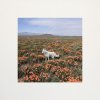 http://s.mxmcdn.net/images-storage/albums4/4/1/2/6/1/2/33216214.jpg
