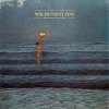 Wolfie's Just Fine - Album I Remembered but Then I Forgot