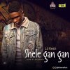 Lil Kesh - Album Shele Gan Gan