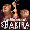 Shakira - Album Try Everything (De 