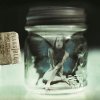 http://s.mxmcdn.net/images-storage/albums4/4/7/9/4/8/3/32384974.jpg