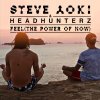 Steve Aoki feat. Headhunterz - Album Feel (The Power Of Now)