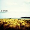 http://s.mxmcdn.net/images-storage/albums4/5/1/0/5/6/4/33465015.jpg