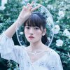 瀧川 ありさ - Album at film. (Complete Edition)