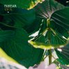 Fakear - Album Vegetal: Offshoots EP