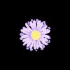 Gnash - Album Me
