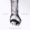 Savages - Album Surrender (Trentemøller Remix)