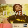 Manu - Album Flawed